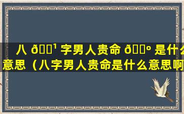 八 🌹 字男人贵命 🌺 是什么意思（八字男人贵命是什么意思啊）